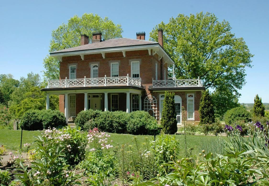 Arboretum view