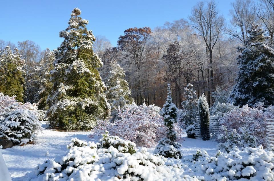 Arboretum view