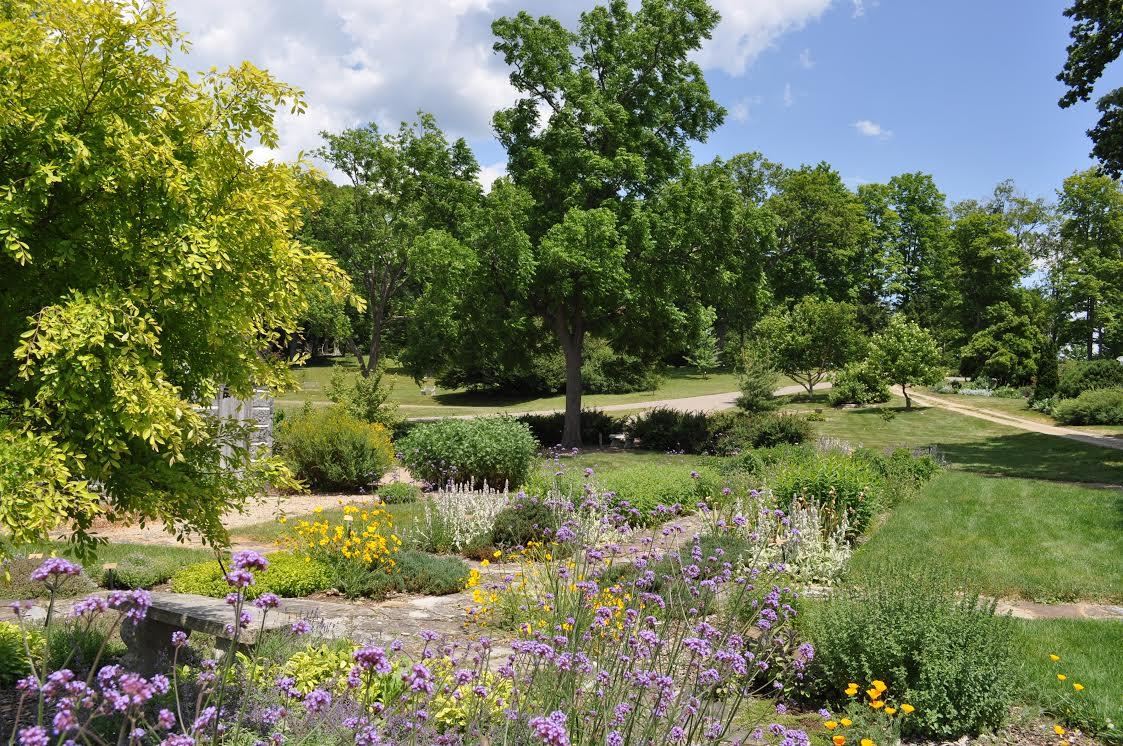 Arboretum view